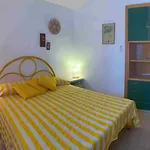 Sardegna Ginepro Olbia