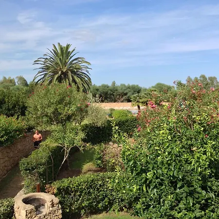 Sardegna Ginepro *